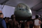fdf728120089752.jpg
